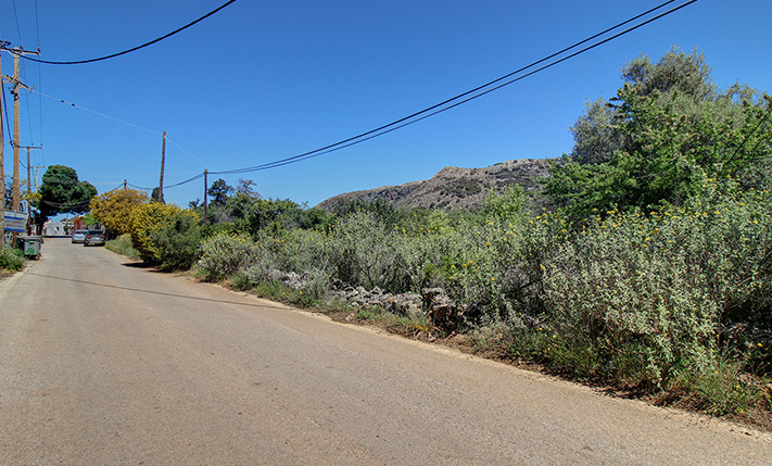ΕΝΑ ΜΙΚΡΟ ΔΑΣΟΣ ΒΕΛΑΝΙΔΙΑΣ ΜΕΣΑ ΣΕ ΟΙΚΙΣΜΟ