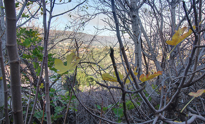 ΜΕ ΠΑΛΑΙΟ ΚΤΙΣΜΑ ΚΑΙ ΚΑΛΗ ΠΡΟΣΒΑΣΗ