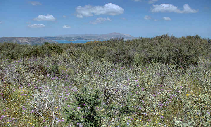 ΚΑΤΑΛΛΗΛΗ ΓΙΑ ΠΟΛΕΟΔΟΜΗΣΗ Η ΩΣ ΤΟΠΟΘΕΤΗΣΗ
