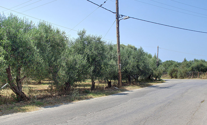 SQUARE PLOT WITH POTENTIAL CLOSE TO AMENITIES