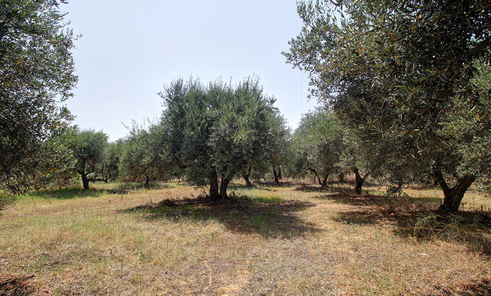 ΤΕΤΡΑΓΩΝΟ ΜΕ ΠΡΟΟΠΤΙΚΕΣ ΚΟΝΤΑ ΣΤΗ ΘΑΛΑΣΣΑ