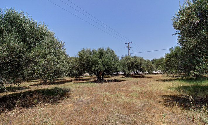 SQUARE PLOT WITH POTENTIAL CLOSE TO AMENITIES
