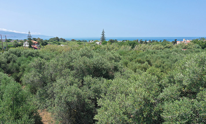 SQUARE PLOT WITH POTENTIAL CLOSE TO AMENITIES