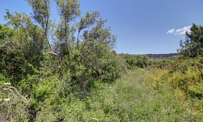 SPACIOUS LAND FOR HOUSING DEVELOPMENT