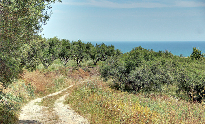 ΑΨΟΓΟΣ ΠΡΟΣΑΝΑΤΟΛΙΣΜΟΣ ΜΕΣΑ ΣΕ ΕΛΑΙΩΝΕΣ
