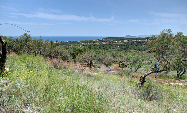 ΑΨΟΓΟΣ ΠΡΟΣΑΝΑΤΟΛΙΣΜΟΣ ΜΕΣΑ ΣΕ ΕΛΑΙΩΝΕΣ