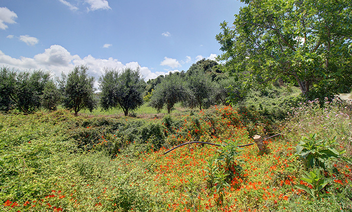 ΕΠΑΓΓΕΛΜΑΤΙΚΗ ΕΚΤΑΣΗ ΣΕ ΜΙΚΡΟ ΟΙΚΙΣΜΟ