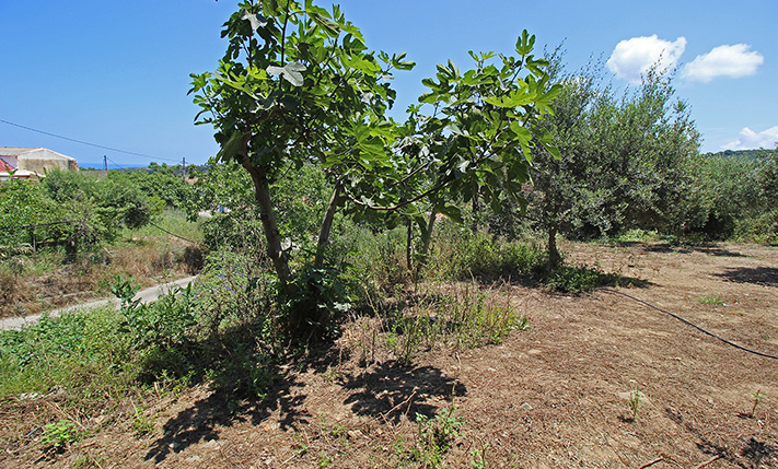 ΕΠΑΓΓΕΛΜΑΤΙΚΗ ΕΚΤΑΣΗ ΣΕ ΜΙΚΡΟ ΟΙΚΙΣΜΟ