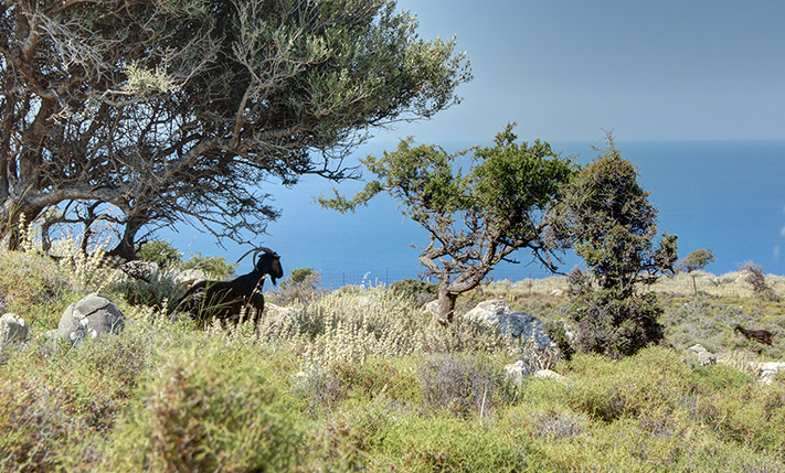 ΥΠΕΡΠΟΛΥΤΕΛΗΣ ΕΚΤΑΣΗ ΜΕ ΒΟΡΕΙΟΑΝΑΤΟΛΙΚΗ ΘΕΑ