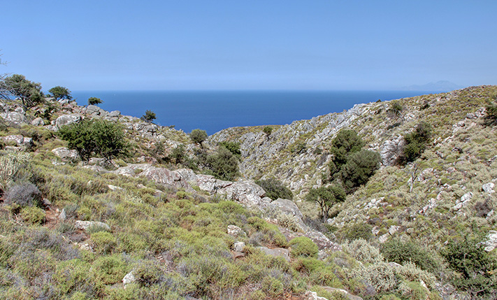 LUXURIOUS LAND WITH NORTHEAST-FACING SEA VIEWS