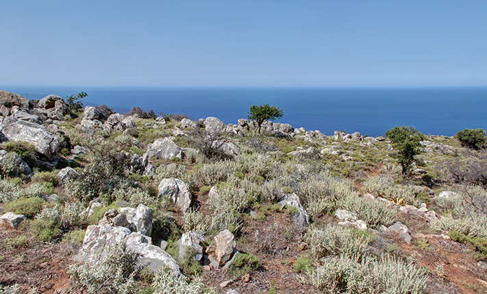 LUXURIOUS LAND WITH NORTHEAST-FACING SEA VIEWS