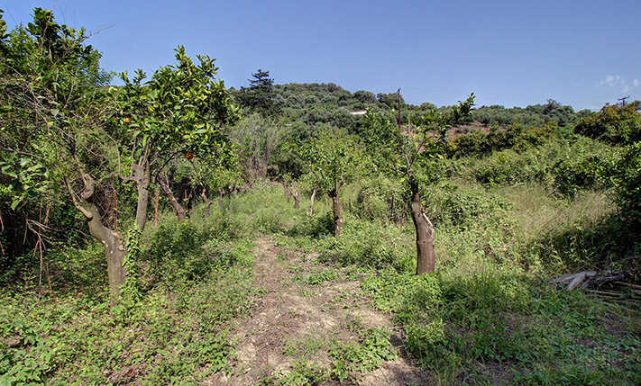 ΚΟΝΤΑ ΣΕ ΚΟΜΒΟ ΤΟΥ ΒΟΑΚ, 20 ΛΕΠΤΑ ΑΠΟ ΧΑΝΙΑ