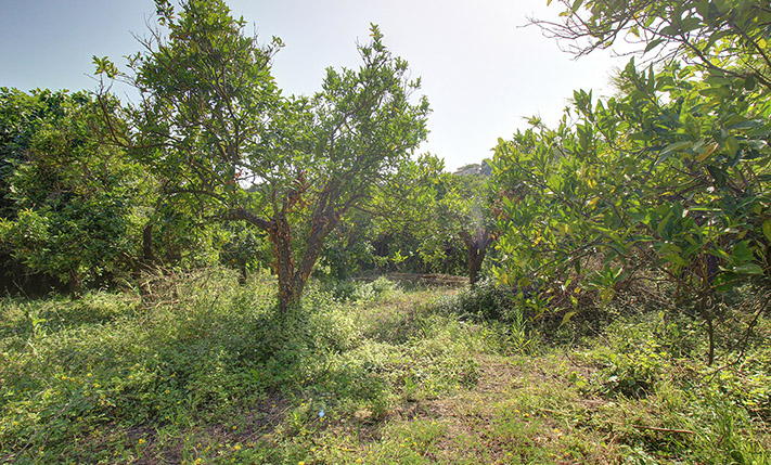 CLOSE TO AN INTERCHANGE & EASY TO ACCESS