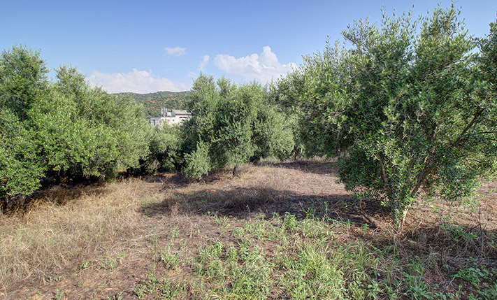 EASY TO SPLIT WITH ACCESS FROM 3 SIDES