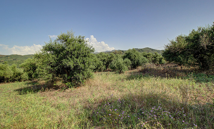 ΜΕΓΑΛΕΣ ΟΨΕΙΣ ΑΠΟ ΤΡΕΙΣ ΠΛΕΥΡΕΣ