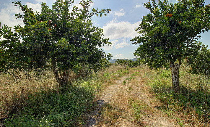 ΜΕ ΙΣΤΟΡΙΚΟ ΕΡΕΙΠΩΜΕΝΟ ΚΤΙΣΜΑ & ΠΟΡΤΟΚΑΛΕΩΝΑ