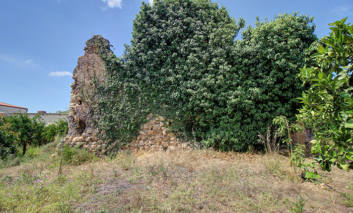 DEVELOPMENT LAND WITH A RUIN & ORANGE TREES