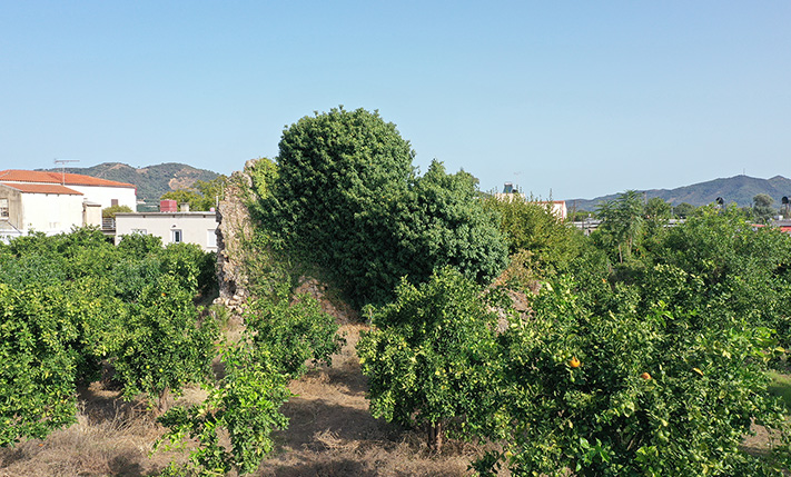 ΕΠΑΓΓΕΛΜΑΤΙΚΗ ΓΗ ΜΕ ΕΡΕΙΠΙΟ & ΠΟΡΤΟΚΑΛΕΩΝΑ