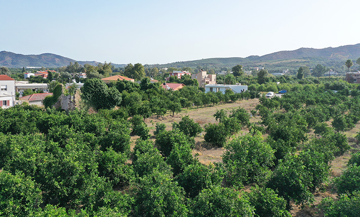 ENTWICKLUNGSLAND MIT RUINE UND ORANGENBÄUMEN