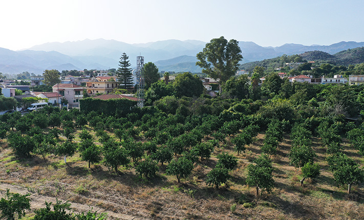 DEVELOPMENT LAND WITH A RUIN & ORANGE TREES