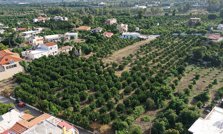 ENTWICKLUNGSLAND MIT RUINE UND ORANGENBÄUMEN