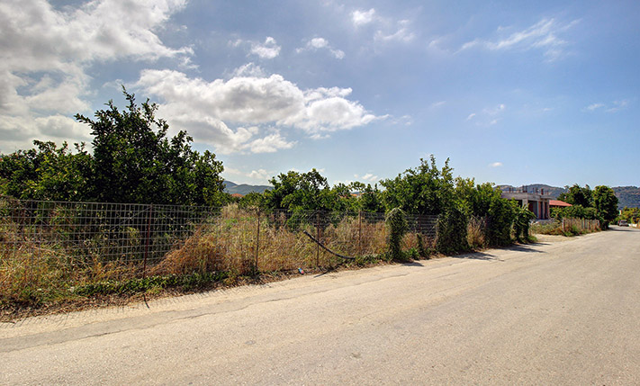 DEVELOPMENT LAND WITH A RUIN & ORANGE TREES