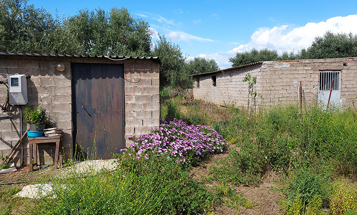 IN THE COUNTRYSIDE NEAR THE BEACH OF KIPARISSIA