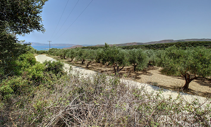ΥΠΕΡΥΨΩΜΕΝΟ, ΣΤΟ ΟΡΙΟ ΟΙΚΙΣΜΟΥ ΜΕ ΘΕΑ ΘΑΛΑΣΣΑ