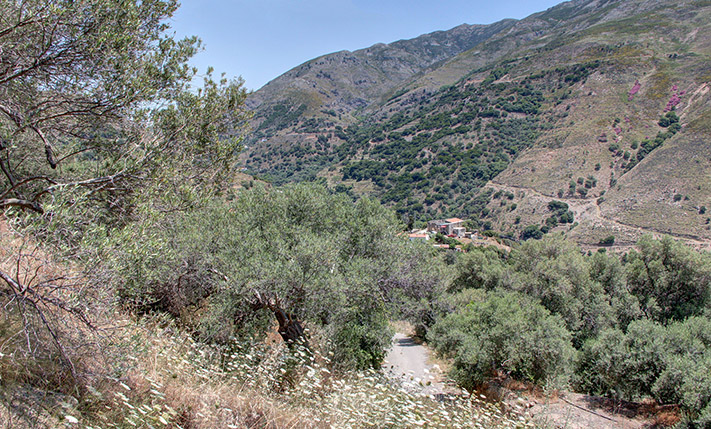 SOUTHERN ORIENTATION & VIEWS UP TO THE SEA