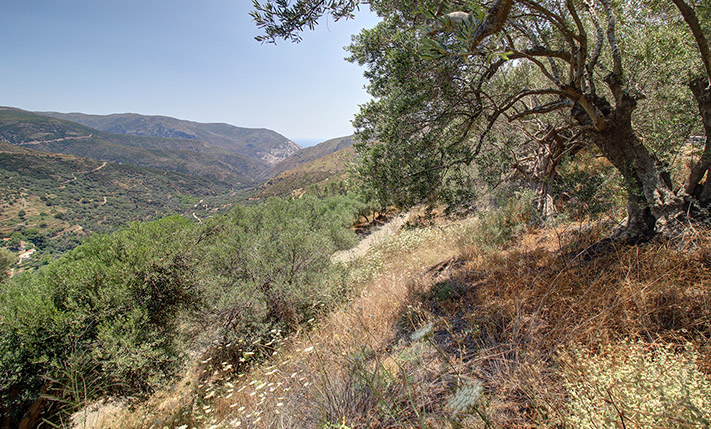 SOUTHERN ORIENTATION & VIEWS UP TO THE SEA
