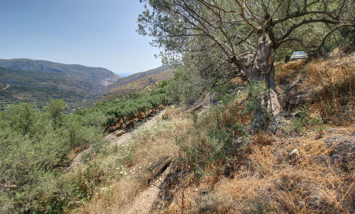 ΝΟΤΙΟΣ ΠΡΟΣΑΝΑΤΟΛΙΣΜΟΣ & ΘΕΑ ΩΣ ΤΗ ΘΑΛΑΣΣΑ