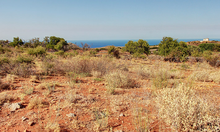 EXCEPTIONAL FOR A CONTRACTOR OR AS INVESTMENT