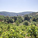 New Land Plot for Sale