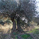 PLS1688 - image 5 PLS1688 - image 5