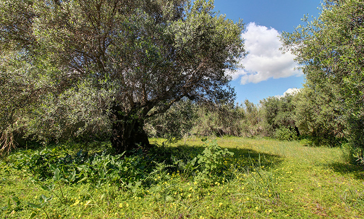 CONVENIENT SHAPE & UPPER-FLOOR SEA VIEWS