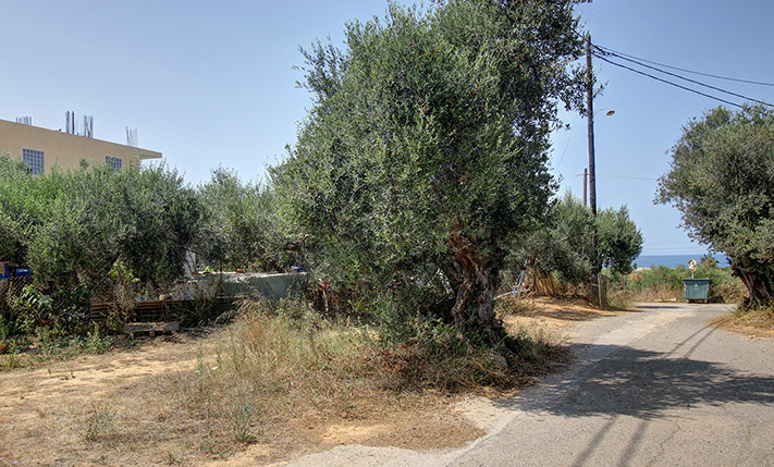 ΑΝΑΤΟΛΙΚΟ ΤΡΙΓΩΝΟ ΟΙΚΟΠΕΔΟ ΚΟΝΤΑ ΣΕ ΥΠΟΔΟΜΕΣ