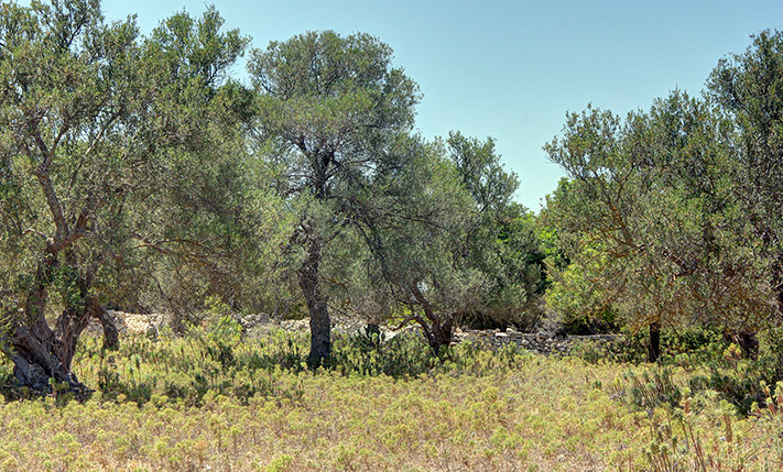 CONVENIENT PLOT NEAR ALMYRIDA & GAVALOCHORI