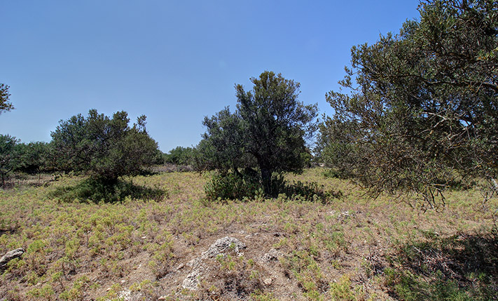 CONVENIENT PLOT NEAR ALMYRIDA & GAVALOCHORI