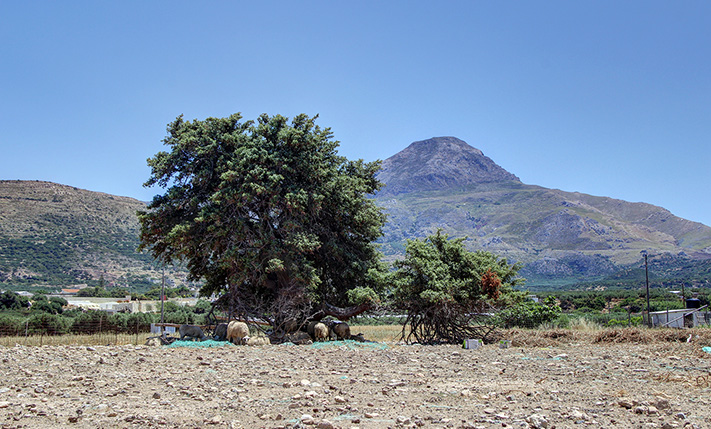 WATERFRONT LAND IN A RAPIDLY UPCOMING AREA