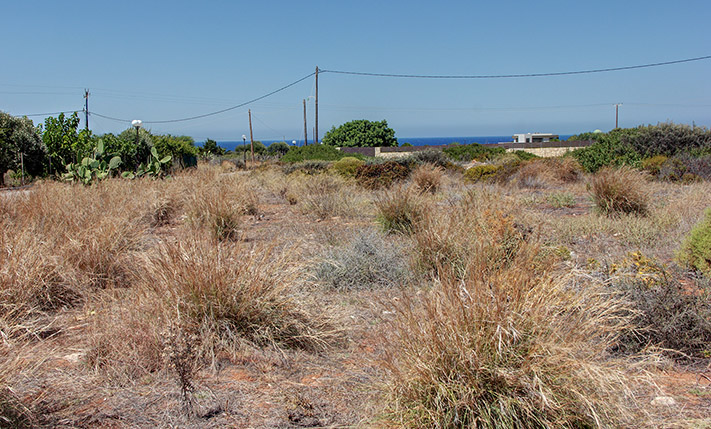 FLAT & RECTANGULAR PLOT NEAR THE SEA