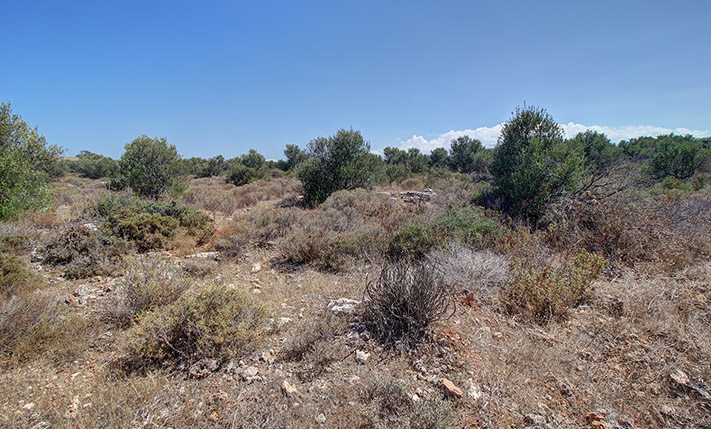 ON A BUSY STREET NEAR CHANIA & THE AIRPORT