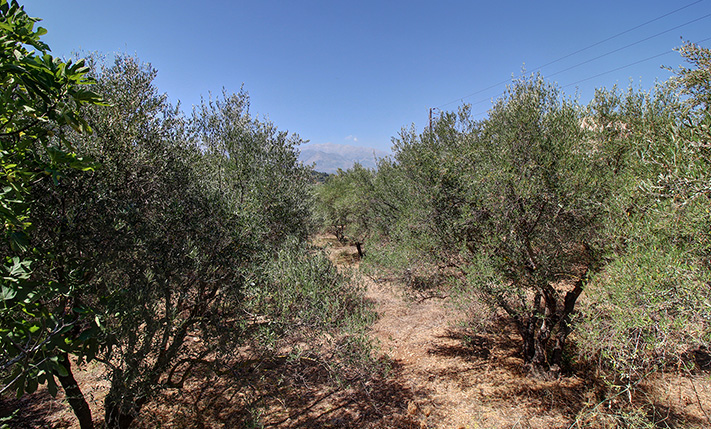 A CORNER BETWEEN 2 BUSY STREETS OF APOKORONAS