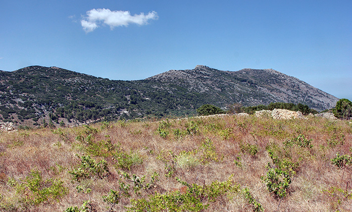 IMPOSING VIEWS FROM VINEYARD ON A HILL RIDGE
