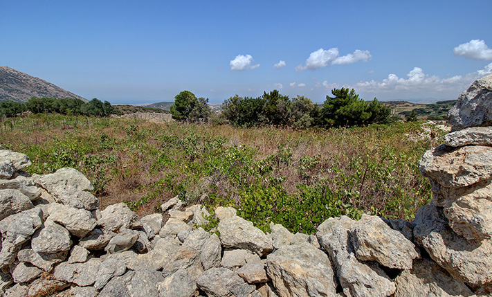 IMPOSING VIEWS FROM VINEYARD ON A HILL RIDGE