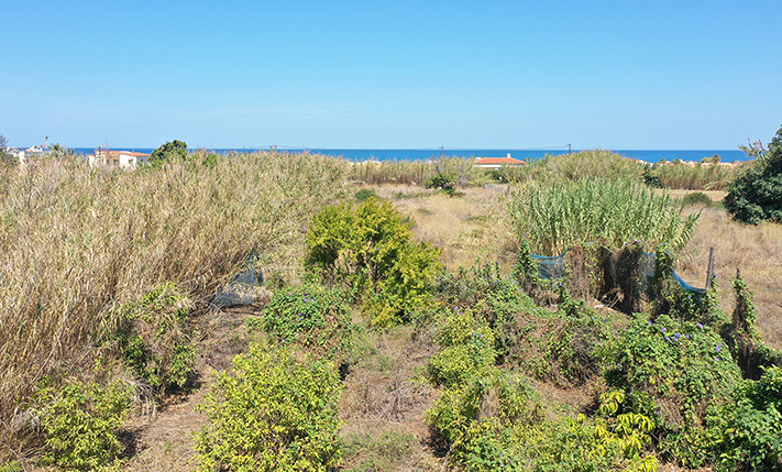 ΕΞΑΙΡΕΤΙΚΗ ΤΟΠΟΘΕΤΗΣΗ ΚΟΝΤΑ ΣΤΗ ΘΑΛΑΣΣΑ