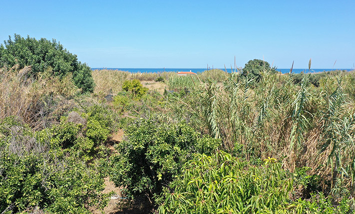 ΕΞΑΙΡΕΤΙΚΗ ΤΟΠΟΘΕΤΗΣΗ ΚΟΝΤΑ ΣΤΗ ΘΑΛΑΣΣΑ