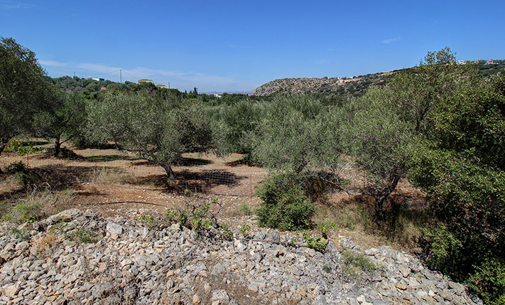ΟΙΚΟΝΟΜΙΚΟΣ ΕΛΑΙΩΝΑΣ ΚΟΝΤΑ ΣΤΗΝ ΑΛΜΥΡΙΔΑ