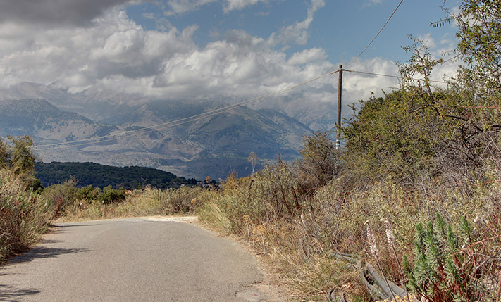 ΕΛΑΙΩΝΑΣ ΣΕ ΗΣΥΧΗ ΓΩΝΙΑ ΜΕ ΚΑΛΟ ΣΧΗΜΑ