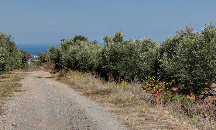 ΧΤΙΣΤΕ ΜΙΑ ΠΟΛΥΤΕΛΗ ΚΑΤΟΙΚΙΑ ΣΤΗ ΦΥΣΗ ΜΕ ΘΕΑ