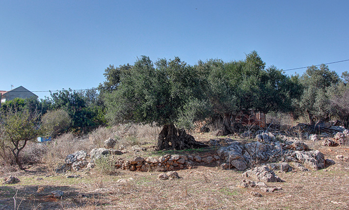 ΑΝΕΤΟ ΟΙΚΟΠΕΔΟ ΕΝΤΟΣ ΟΙΚΙΣΜΟΥ ΜΕ ΑΠΟΘΗΚΗ